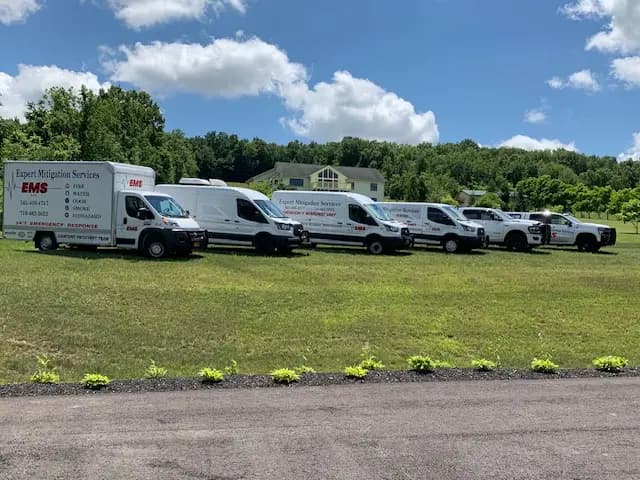 Expert Mitigation Services fleet of white work vans and trucks parked in a row
