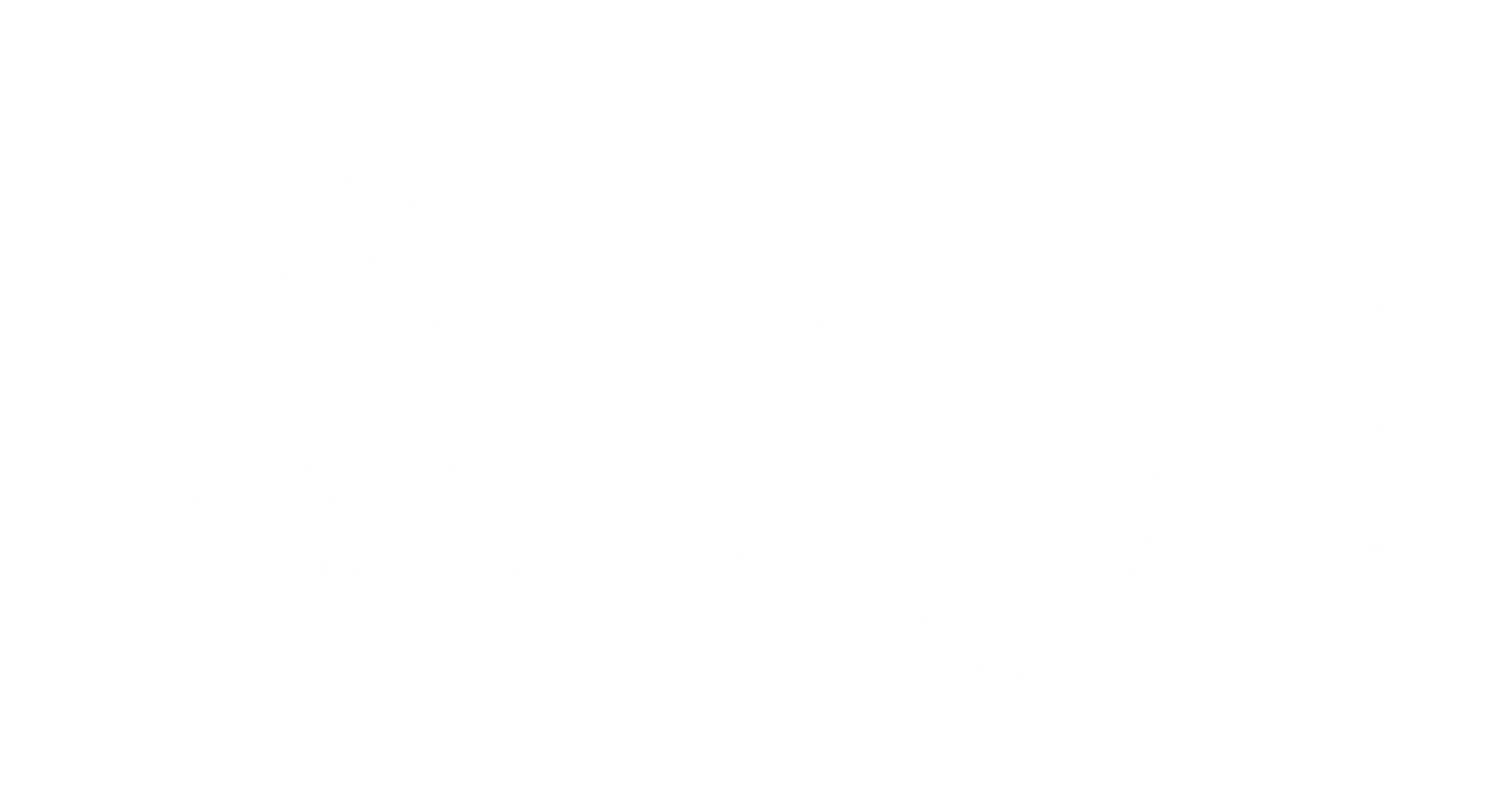 Expert Mitigation Services